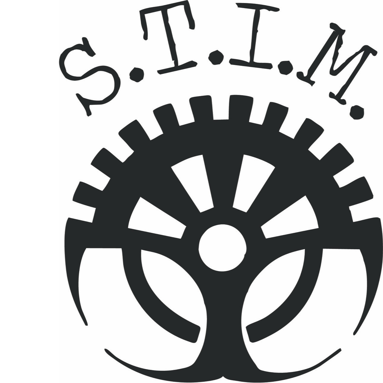 S.T.I.M.